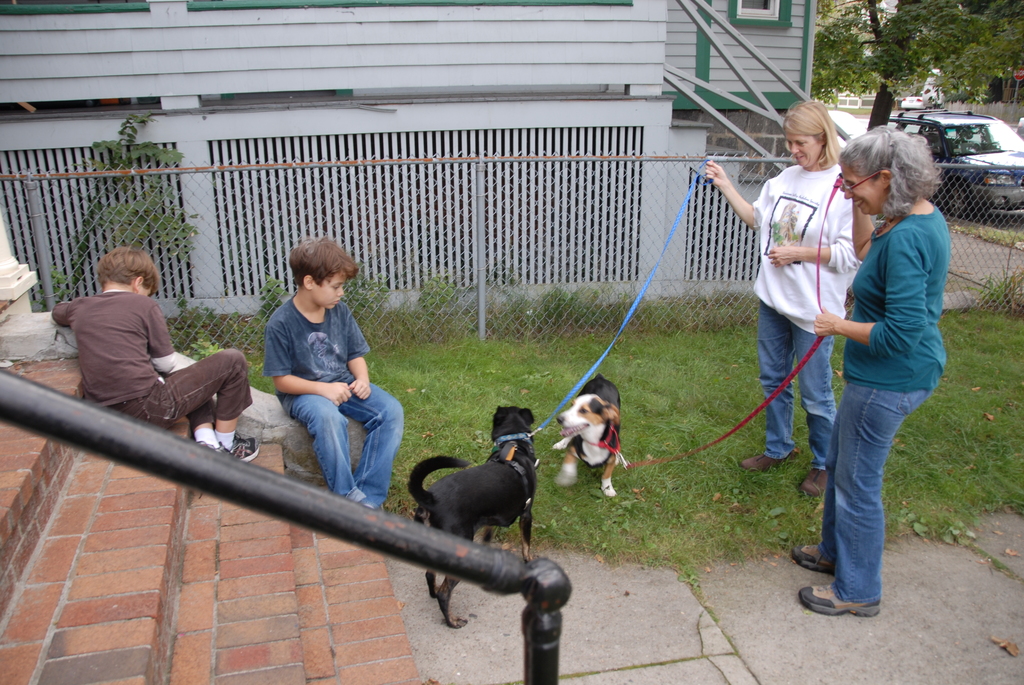 Sparkle meeting the family for the first time