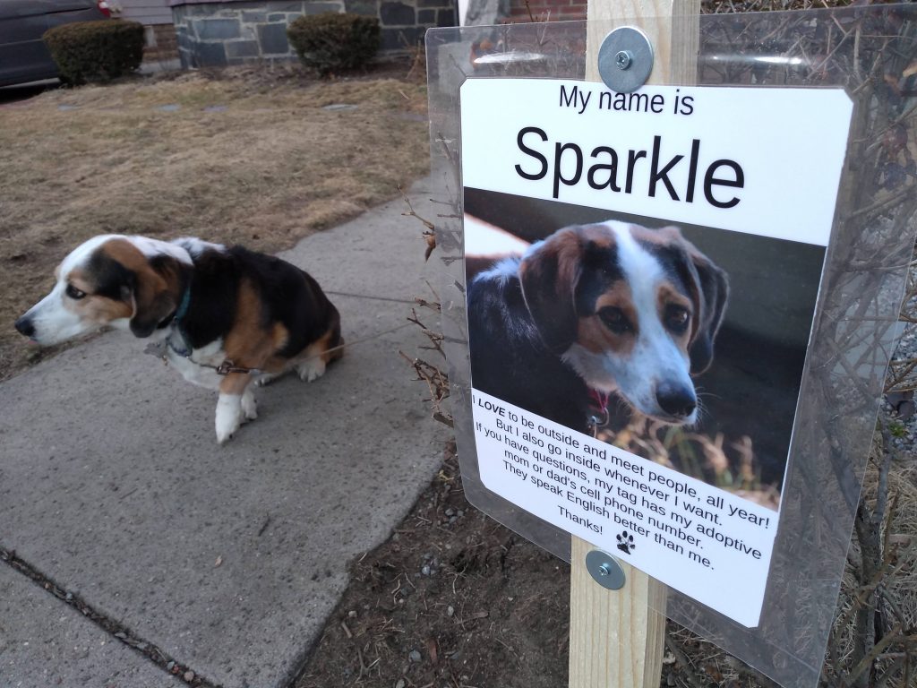 Sign on a post "My name is Sparkle . . . ."